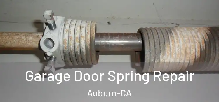  Garage Door Spring Repair Auburn-CA