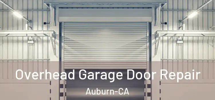  Overhead Garage Door Repair Auburn-CA
