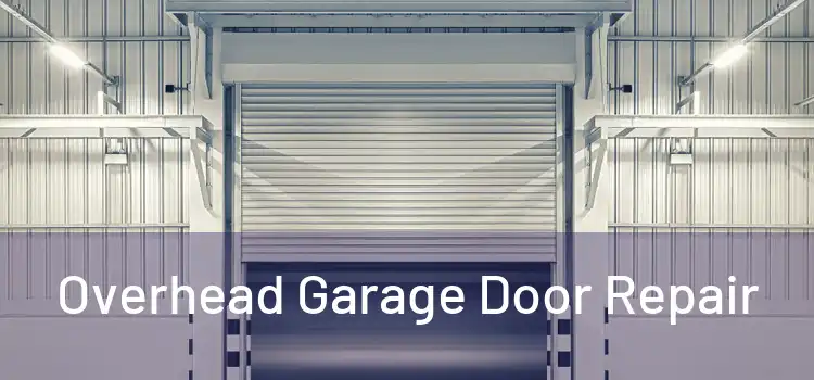  Overhead Garage Door Repair 